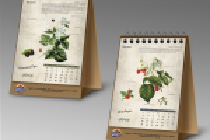 Календарь Вологодская ягода