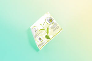 Инфографика для чая