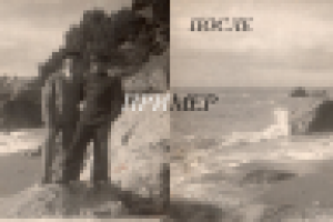 Работа 2276621