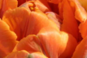 Работа 2283265