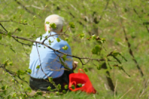 Работа 2276581