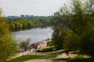 Работа 2276500