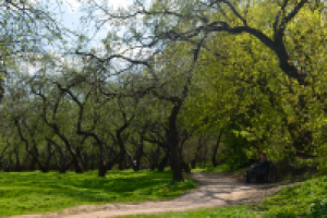 Работа 2276497