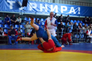 Работа 2298211