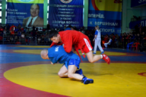 Работа 2298208