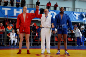 Работа 2298198