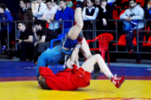 Работа 2298194