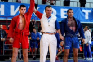 Работа 2298181