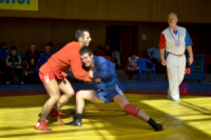 Работа 2276808