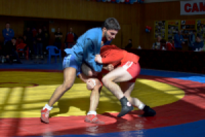 Работа 2276680