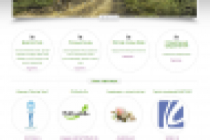 ЛинзаКарелия