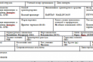 ПЕРЕВОД ДЕКЛАРАЦИИ С КИТАЙСКОГО НА РУССКИЙ