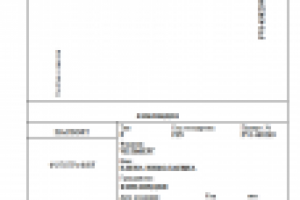 ПЕРЕВОД ПАСПОРТА С ФИНСКОГО НА РУССКИЙ