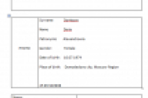 ПЕРЕВОД ПАСПОРТА С РУССКОГО НА АНГЛИЙСКИЙ