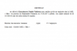 ПЕРЕВОД СПРАВКИ С РУССКОГО НА ФРАНЦУЗСКИЙ