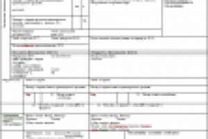 ПЕРЕВОД ТРАНЗИТНОЙ ДЕКЛАРАЦИИ С ТУРЕЦКОГО НА РУССКИЙ