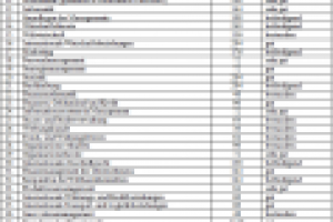 ПЕРЕВОД ПРИЛОЖЕНИЯ К ДИПЛОМУ С РУССКОГО НА НЕМЕЦКИЙ