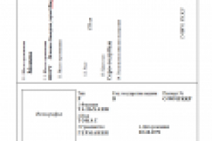 ПЕРЕВОД ПАСПОРТА С НЕМЕЦКОГО НА РУССКИЙ