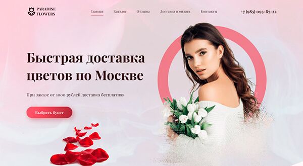 img3997653.png