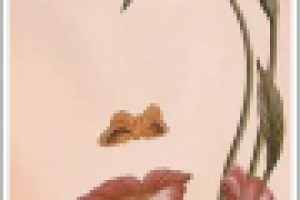 Стань красивее в мире красоты!