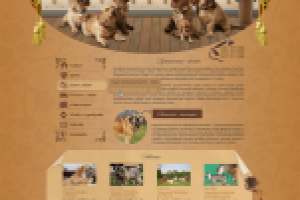 Сайт питомника "Звезда Бретани"