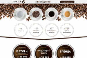 лендинг под ключ "Vector"