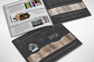 брошюра для "InFure"