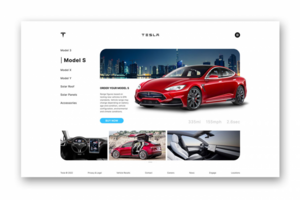 Landing TESLA Page