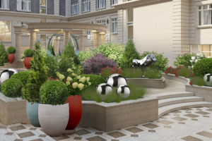 Визуализация.