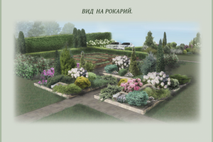 проект сада