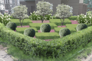 визуализация