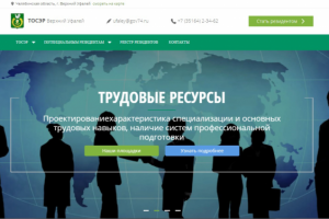 Информационный сайт для ТОСЭР