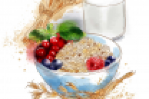 Иллюстрация для упаковки4