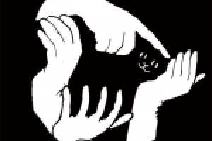 Работа 1722684