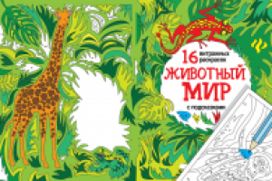 обложка к раскраскам по заказу изд. "Феникс"