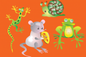 Работа 1722676