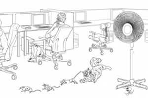 шапка сайта2