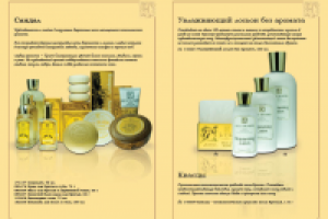 страница буклета