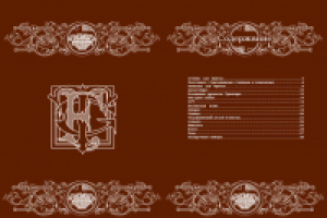 страница буклета