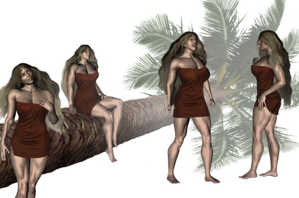 img3509192.png