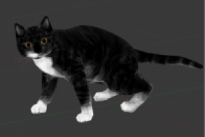 кот - low poly модель для игрового движка