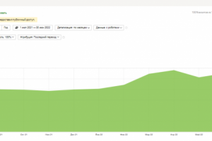 Продвижение крупного интернет-магазина автозапчастей