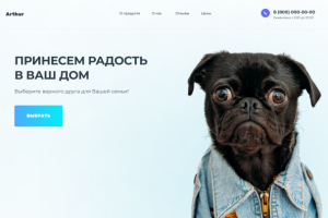 дизайн сайта для магазин  животных