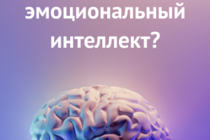 Гайд об интеллекте