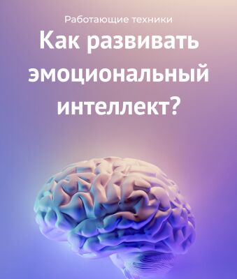 img4238221.png