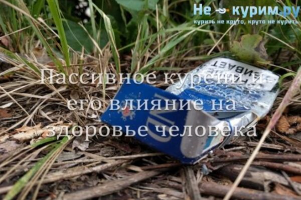 img4027035.png