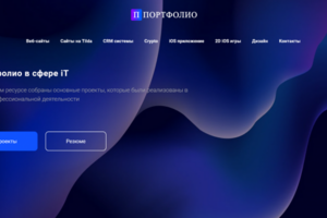 Портфолио