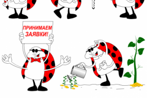 Жук для Университета