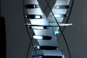 Работа 4107656