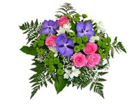 img2542642.png